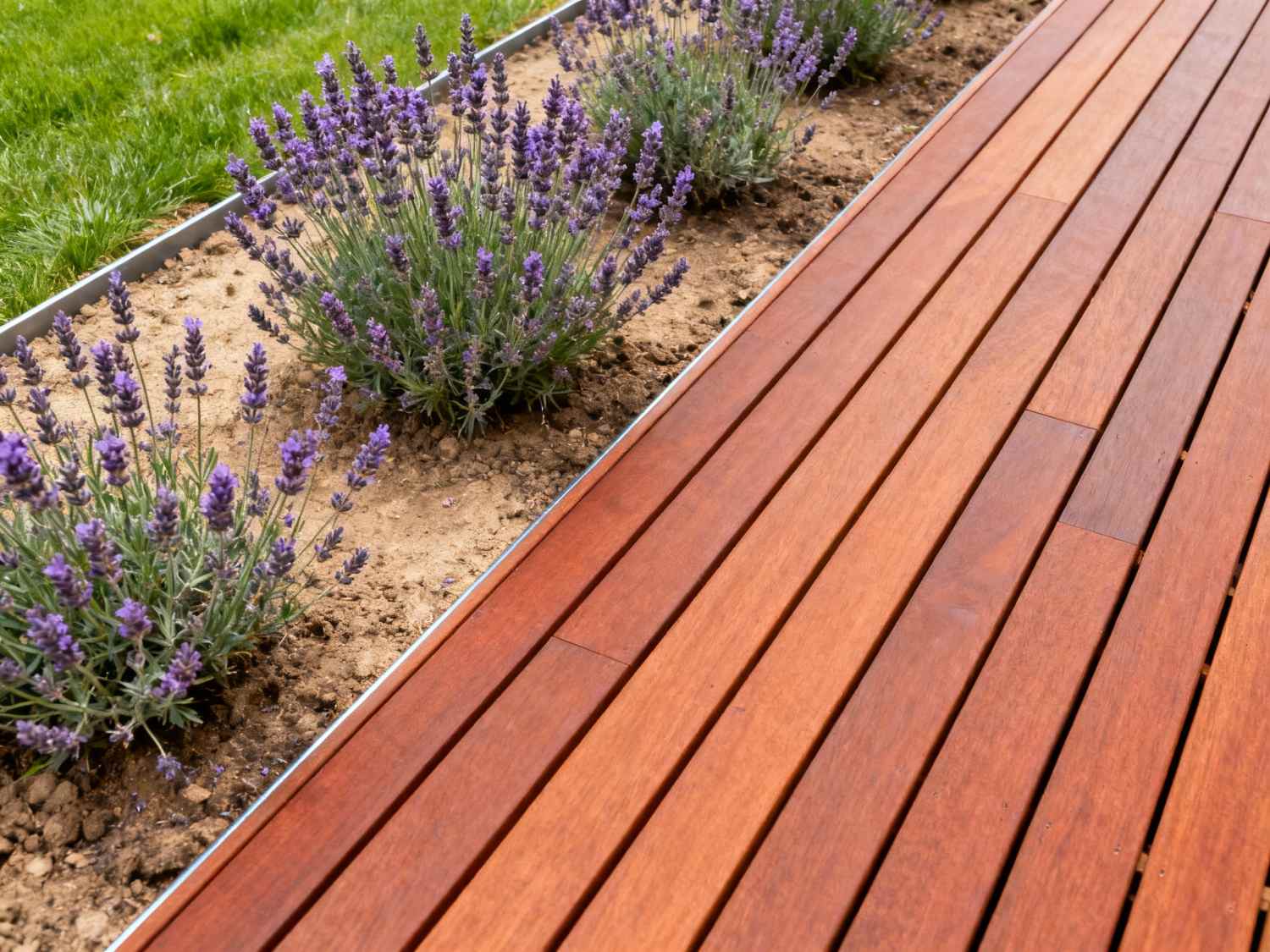 Detail van vlonder met lavendel border