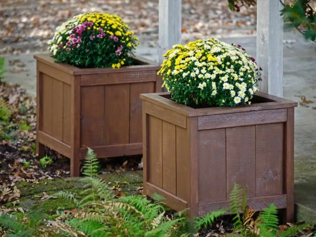 Compacte houten plantenbakken met bloeiende planten