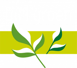 DIM groen logo